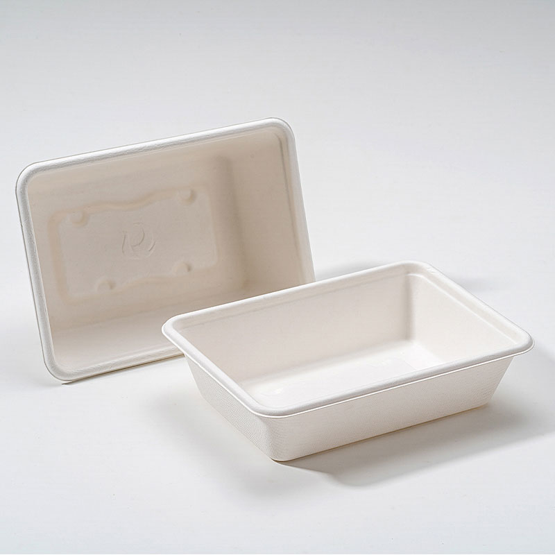Miért a Bagasse Square Box a fenntartható élelmiszer-csomagolás jövője?