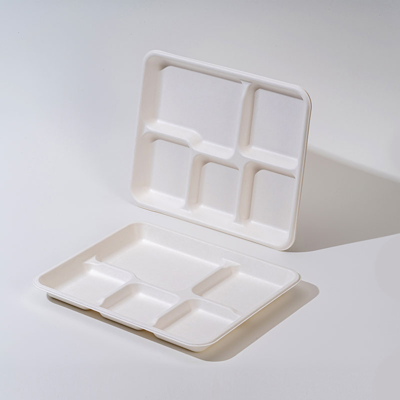 Sugarcane Pulp Compartment Tray