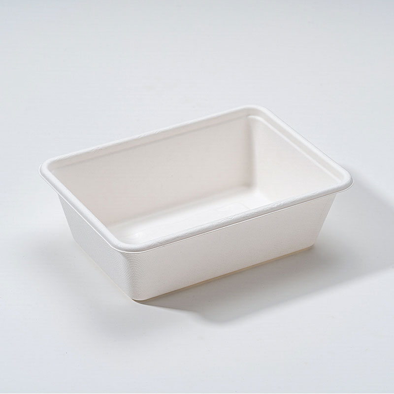 Bagasse Square Box